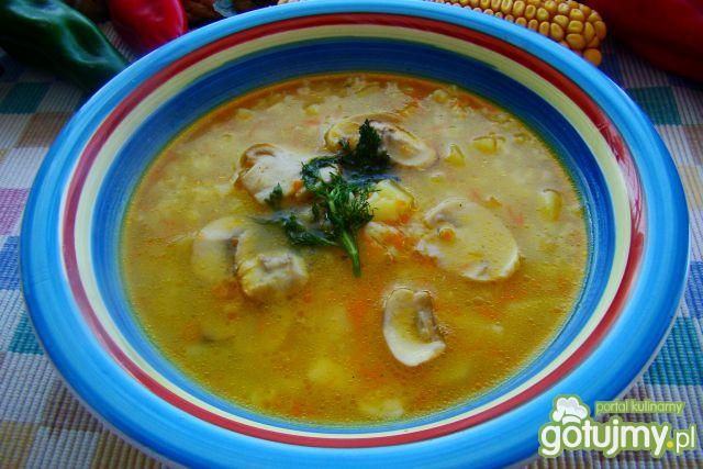 Ryżanka z ziemniaczkami i pieczarkami  Ryżanka z ziemniaczkami i pieczarkami