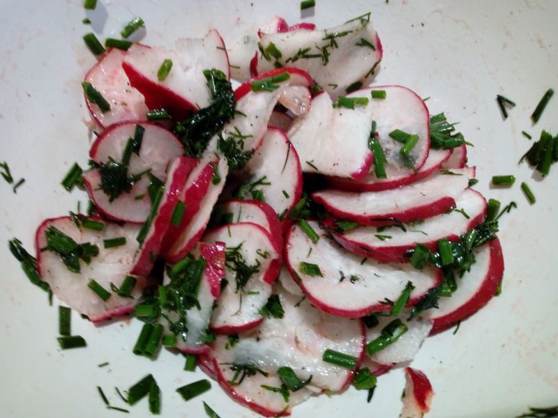 Rzodkiewka w koperkowym sosie