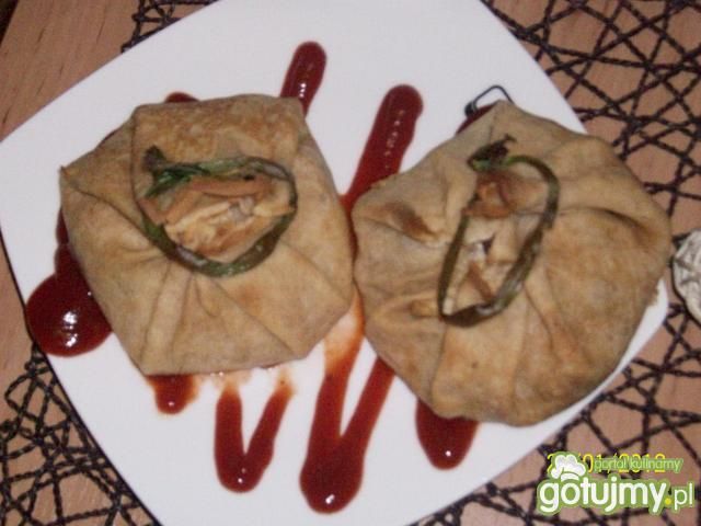 Sakiewki z kurczakiem i czerwoną fasolką