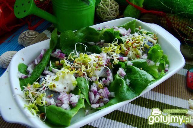 Sałata śledziowa z kiełkami 