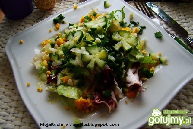 Sałata z jajkiem i ogórkiem  Sałata z jajkiem i ogórkiem