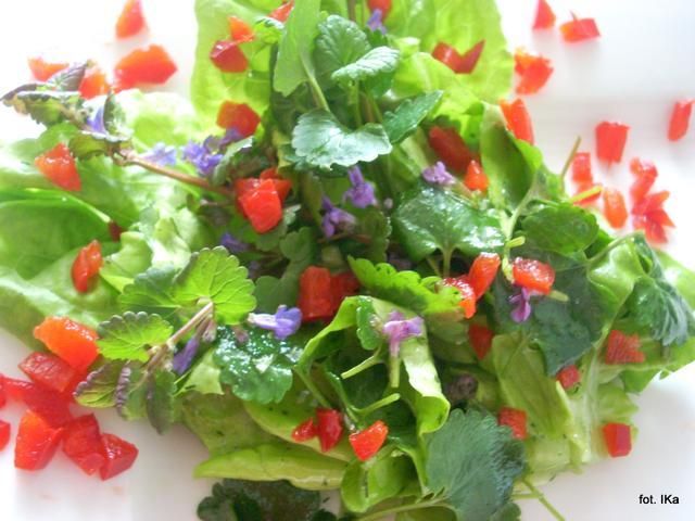 Sałata z kurdybankiem 