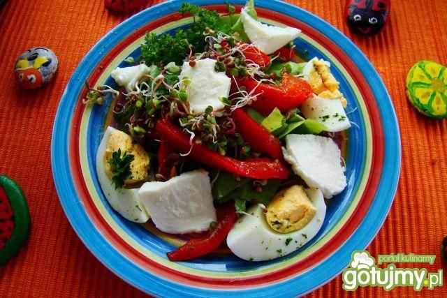 Sałata z mozzarelą i kiełkami rzodkiewki Sałata z mozzarelą i kiełkami rzodkiewki