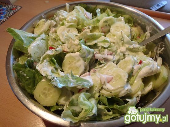 Sałata z ogórkiem i rzodkiewkami