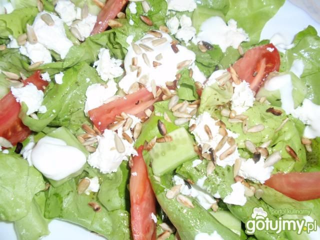 Sałata z ogórkiem, pomidorem . Sałata z ogórkiem, pomidorem .