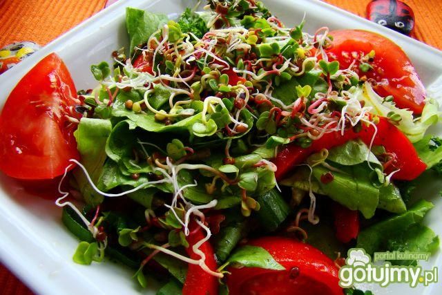 Sałata z pomidorami i kiełkami