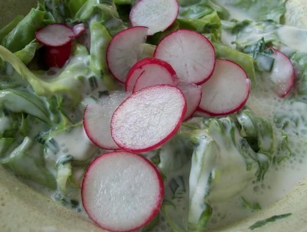 Sałata z rzodkiewką