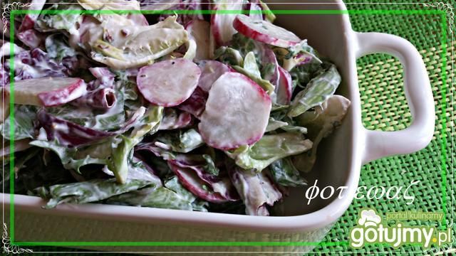 Sałata z rzodkiewką, cebulą i rzeżuchą