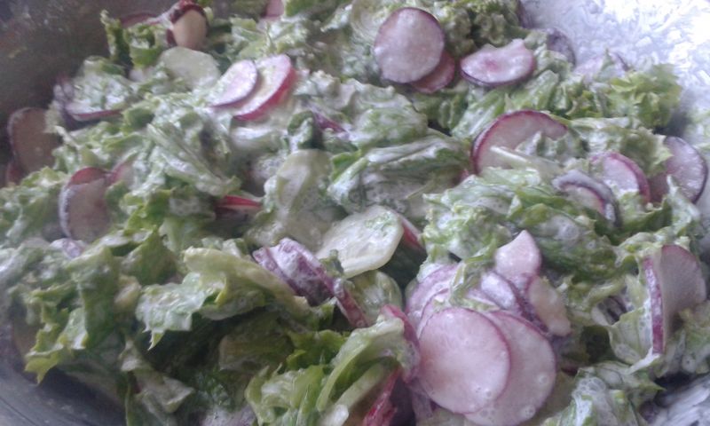 Sałata z rzodkiewką i ogórkiem