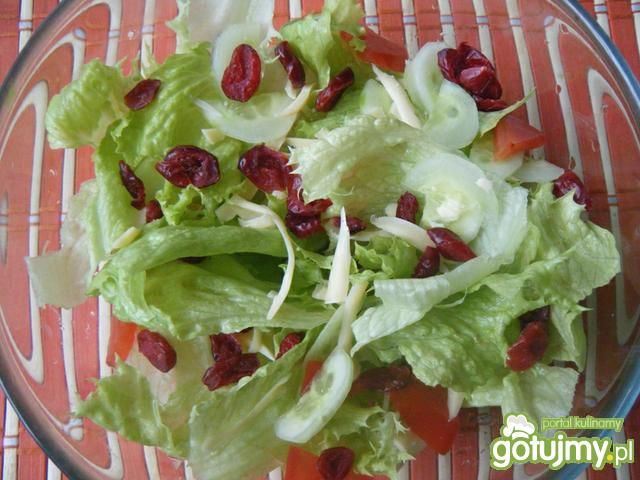 Sałata z suszoną żurawiną i żółtym serem