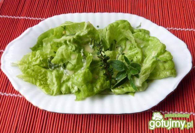 Sałata zielona z sosem i ziołami Sałata zielona z sosem i ziołami