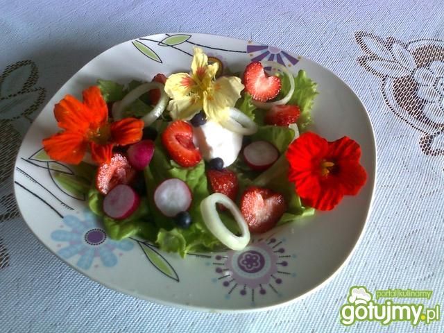 Sałatka dary ogrodu Sałatka dary ogrodu