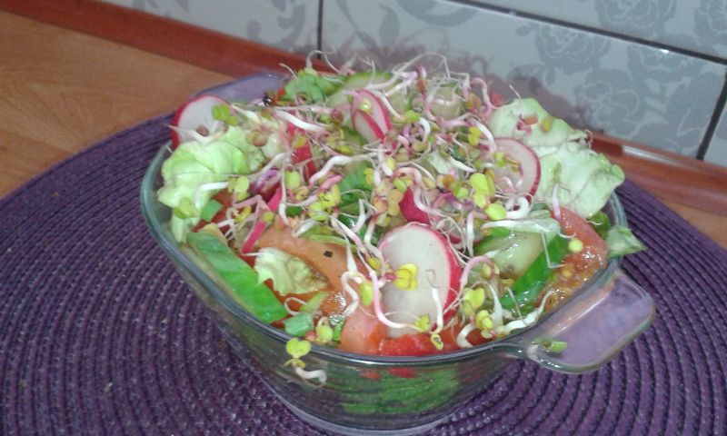 Sałatka do potraw z grilla Sałatka do potraw z grilla