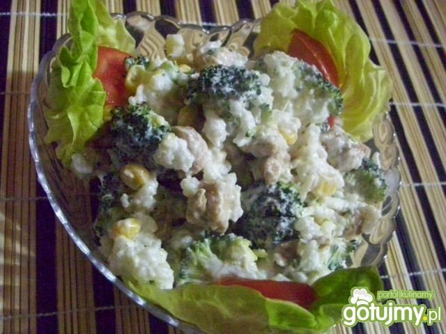 Sałatka  gyros 4 Sałatka  gyros 4