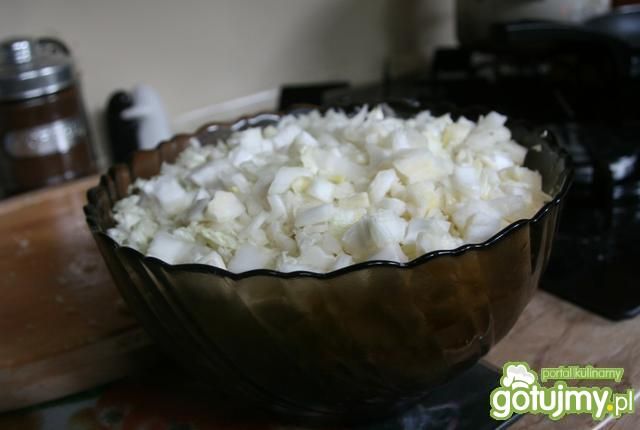 Sałatka Gyros - Kebab