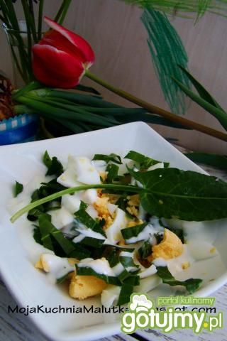 Sałatka jajeczna z szczawiem Sałatka jajeczna z szczawiem