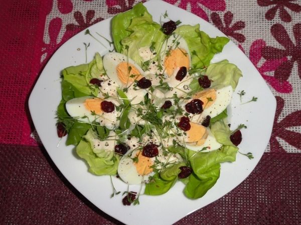 Sałatka jajeczna z żurawiną Sałatka jajeczna z żurawiną