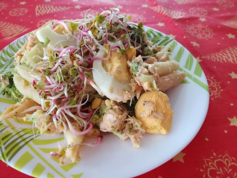 Sałatka makaronowa z łososiem na zimno lub ciepło