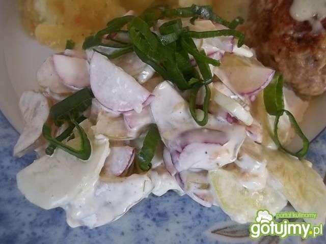 Sałatka ogórkowa Beatris Sałatka ogórkowa Beatris