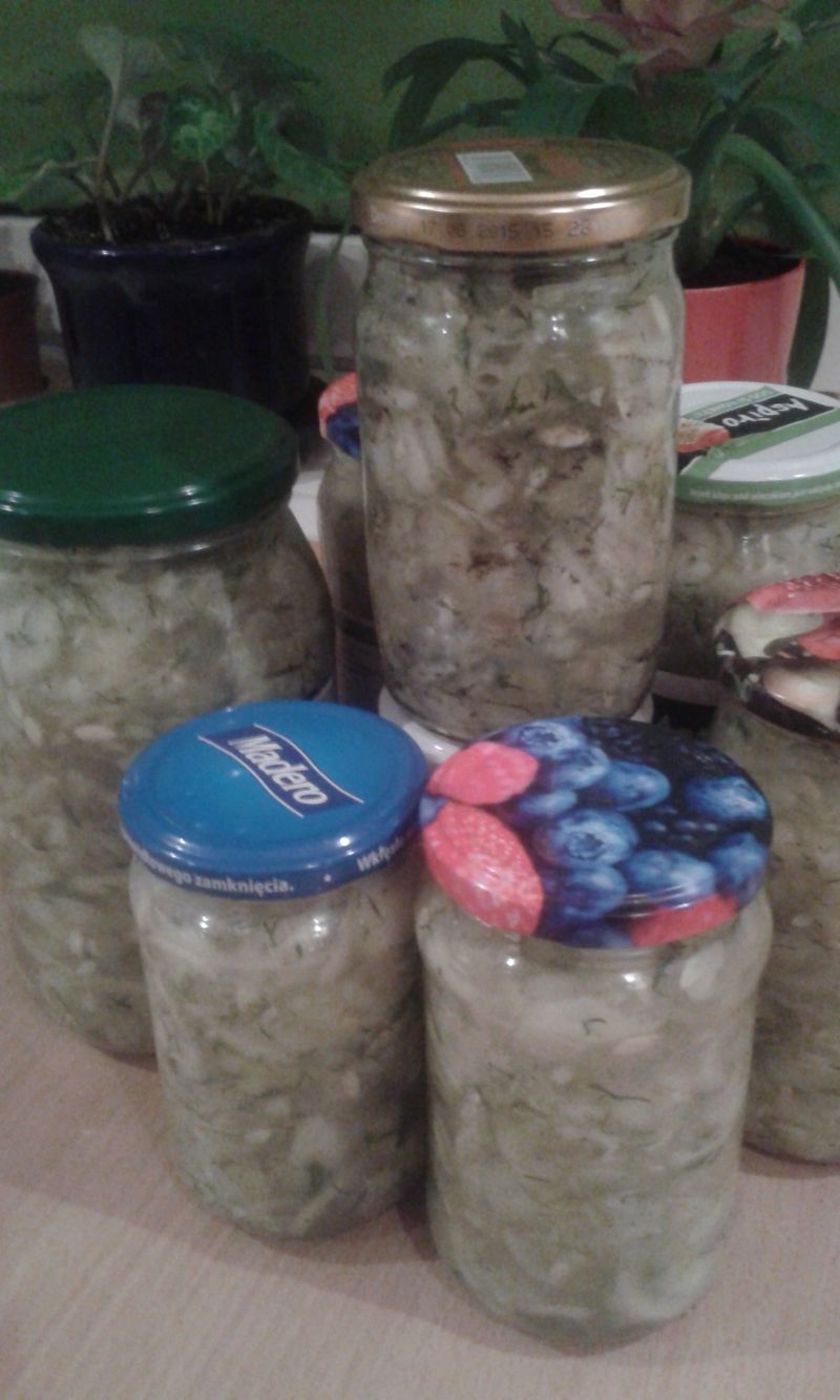 Sałatka ogórkowa na zimę   Sałatka ogórkowa na zimę