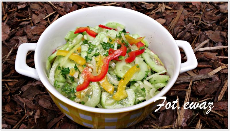 Sałatka ogórkowo paprykowa