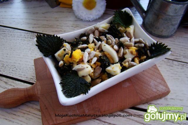 Sałatka pokrzywowa z słonecznikiem