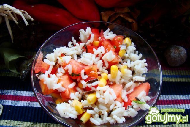 Sałatka pomidorowa z dzikim ryżem