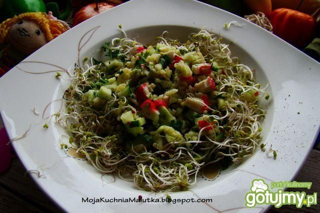 Sałatka ryżowa z awokado i kiełkami  Sałatka ryżowa z awokado i kiełkami