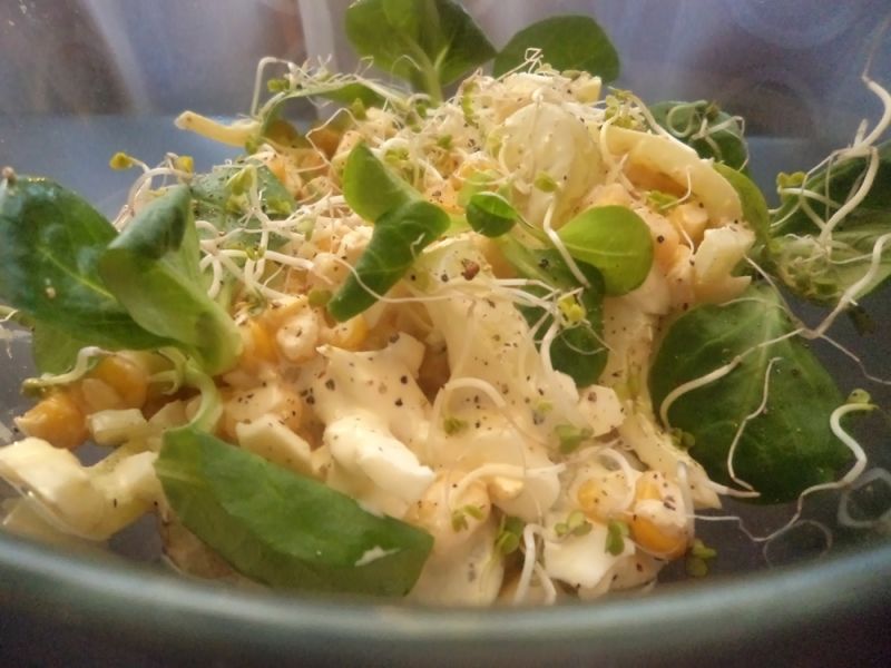 Sałatka Smakowita  Sałatka Smakowita