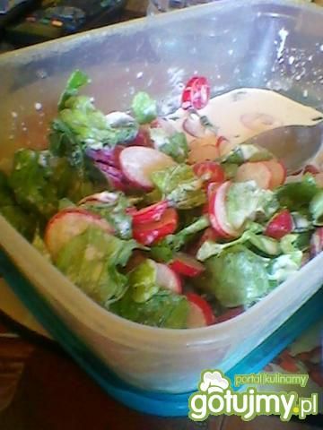 Sałatka wakacyjna z rzodkiewką Sałatka wakacyjna z rzodkiewką