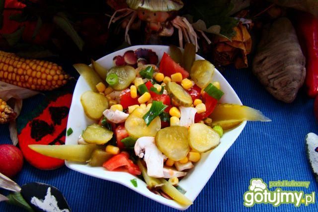 Sałatka warzywna iwa643