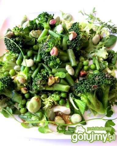 Sałatka  warzywna w kolorze zielonym Sałatka  warzywna w kolorze zielonym