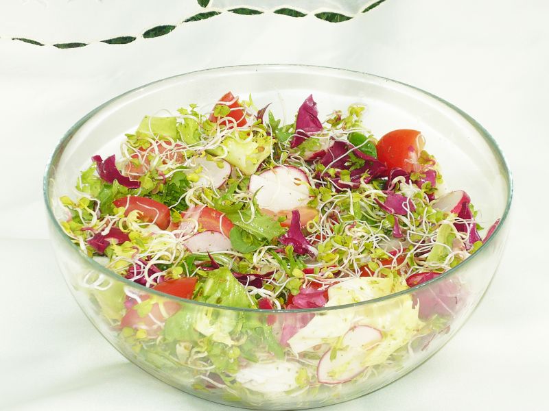 Sałatka wiosenna Sałatka wiosenna