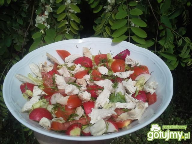 Sałatka wiosenna z kurczakiem Sałatka wiosenna z kurczakiem
