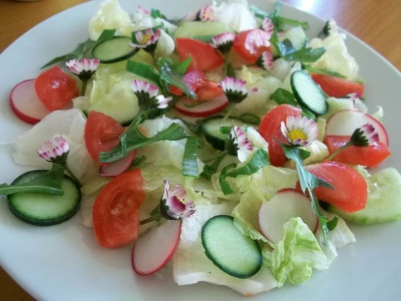 Sałatka wiosenna ze stokrotkami i mniszkiem