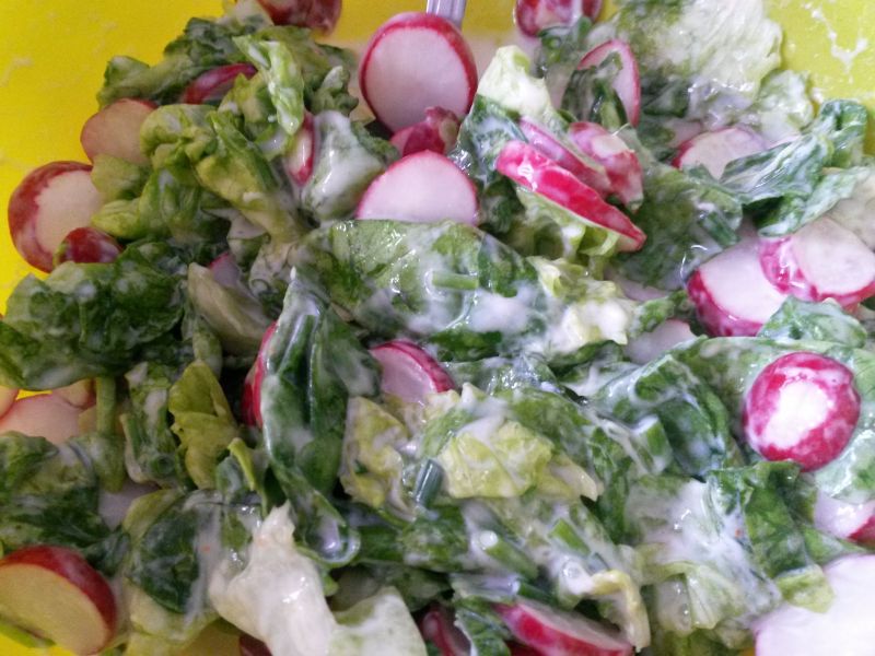 Sałatka Wiosenny mix