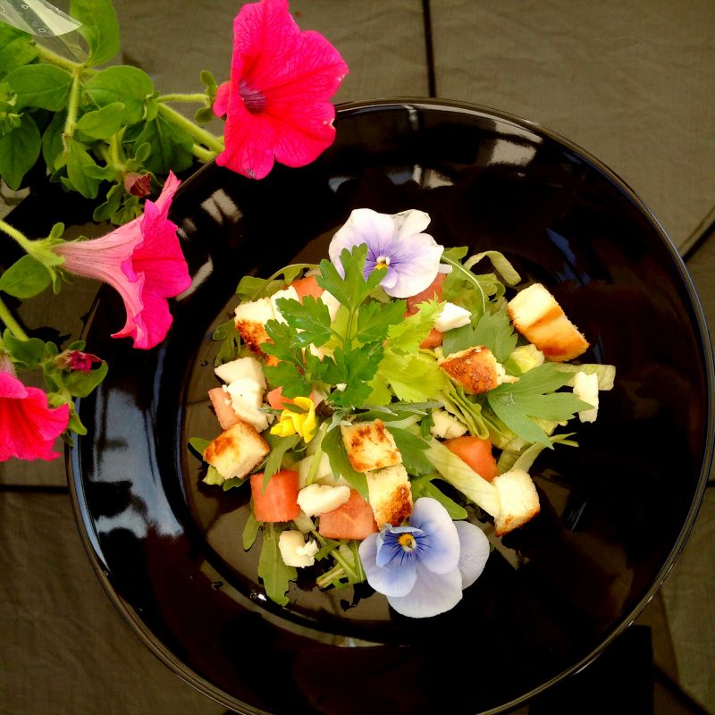 Sałatka z arbuzem, grzankami z chałki, kozim serem