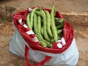 Sałatka z bobu z jajkiem 