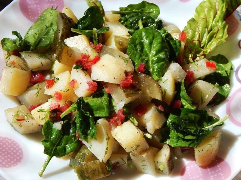 Sałatka z botwinki, szpinaku i ogórka małosolnego