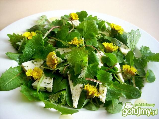 Sałatka z chwastów 