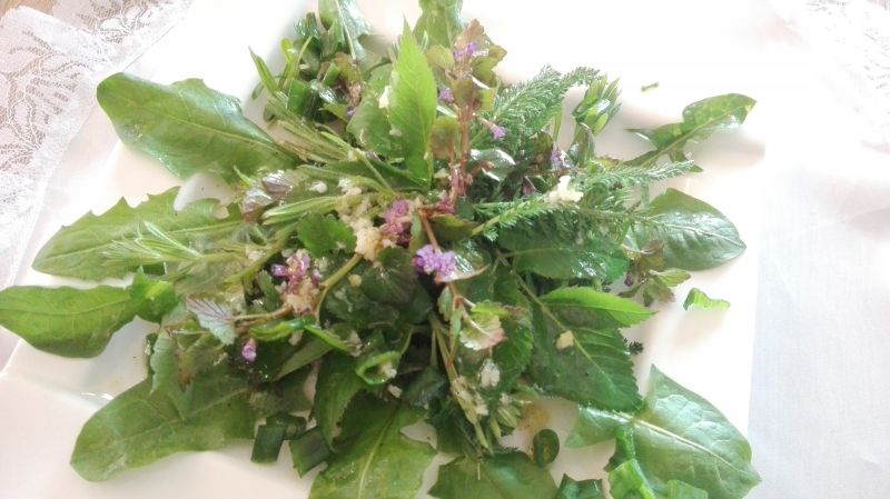 Sałatka z dzikich ziół Sałatka z dzikich ziół