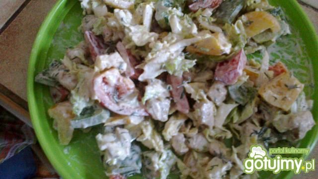 Sałatka z indykiem GYROS II *** Sałatka z indykiem GYROS II ***