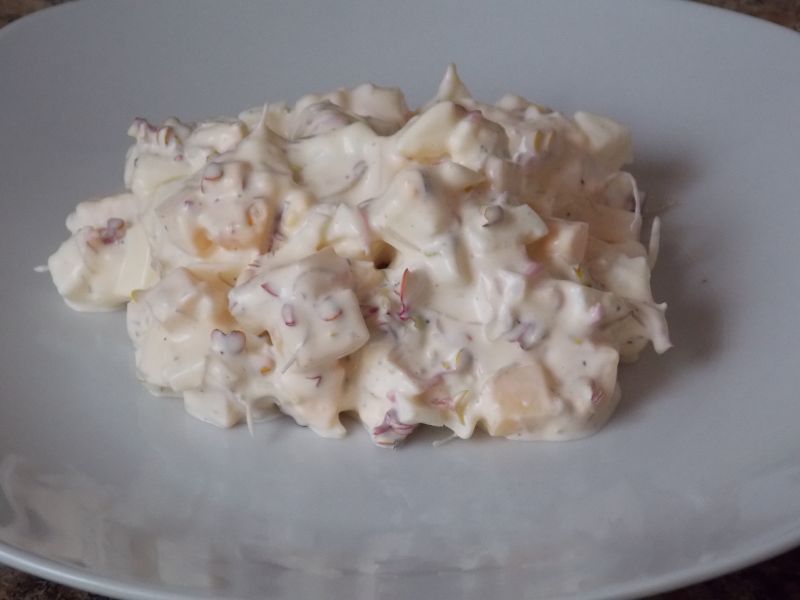 Sałatka z kiełkami rzodkiewki