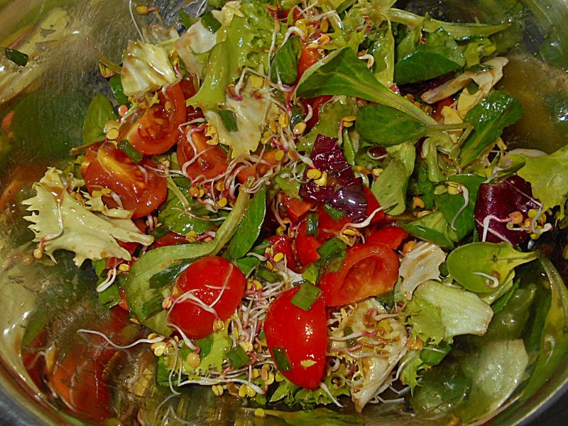 Sałatka z kiełkami rzodkiewki Sałatka z kiełkami rzodkiewki