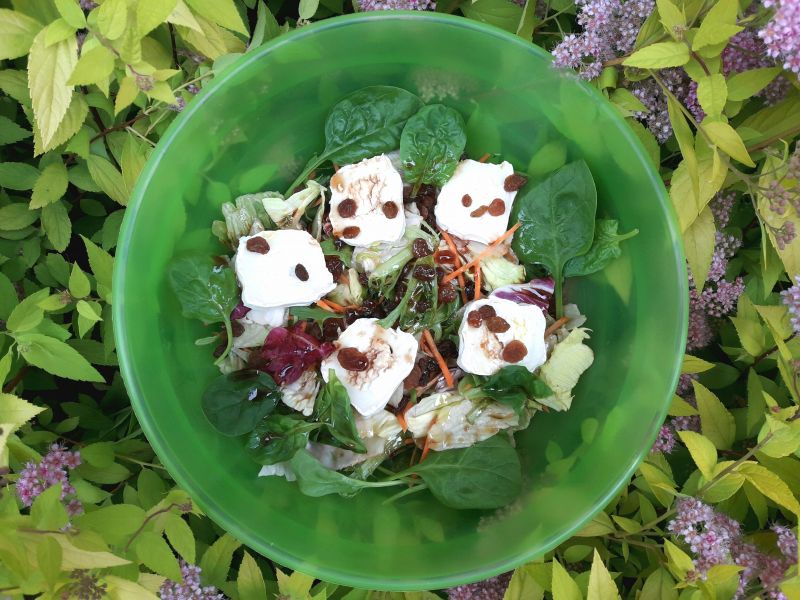 Sałatka z kozim serem i rodzynkami