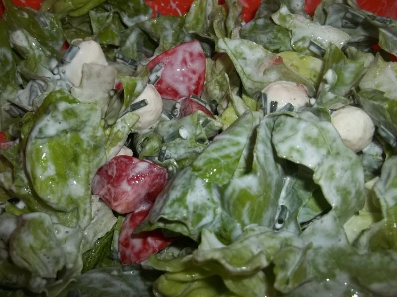 Sałatka z mozzarellą Sałatka z mozzarellą