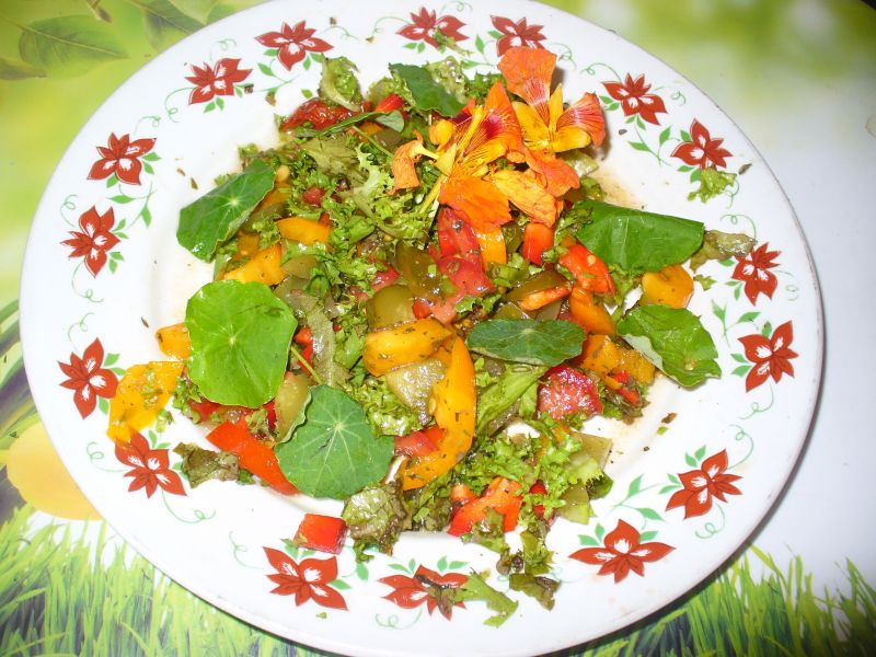 Sałatka z nasturcją, pomidoremi ogórkiem