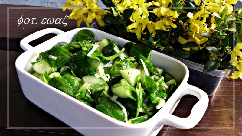 Sałatka z ogórka, roszponki i cebuli