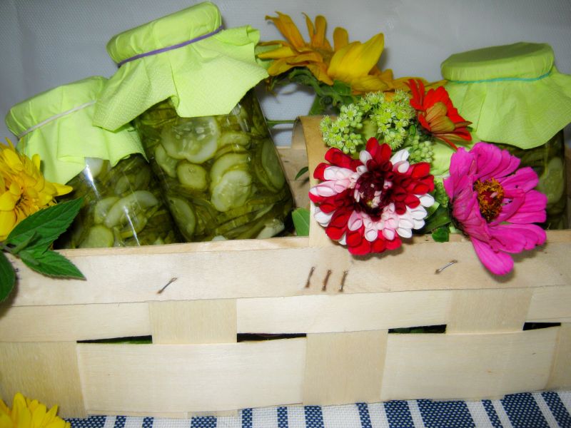 Sałatka z ogórków do słoika