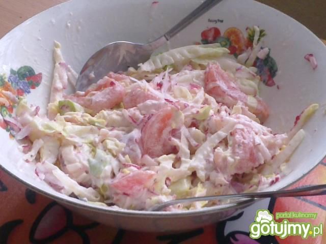 Sałatka z pomidora i rzodkiewki  Sałatka z pomidora i rzodkiewki